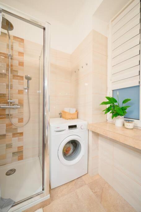 Apartament - Mi Forest